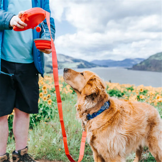 1 Multi-Function Dog Leash