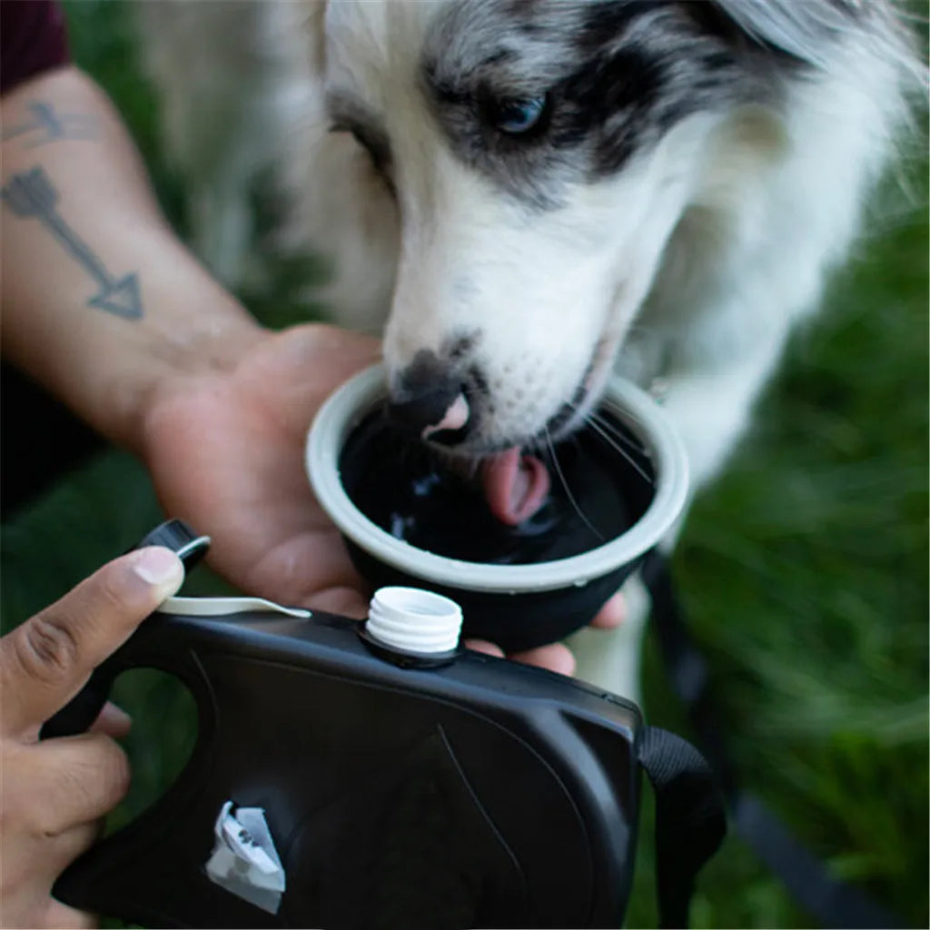 1 Multi-Function Dog Leash