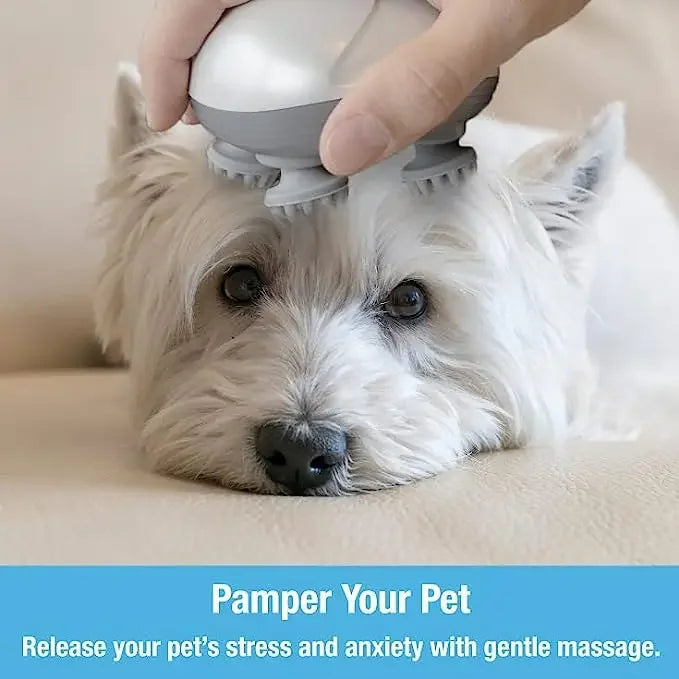 1 Electric Massager