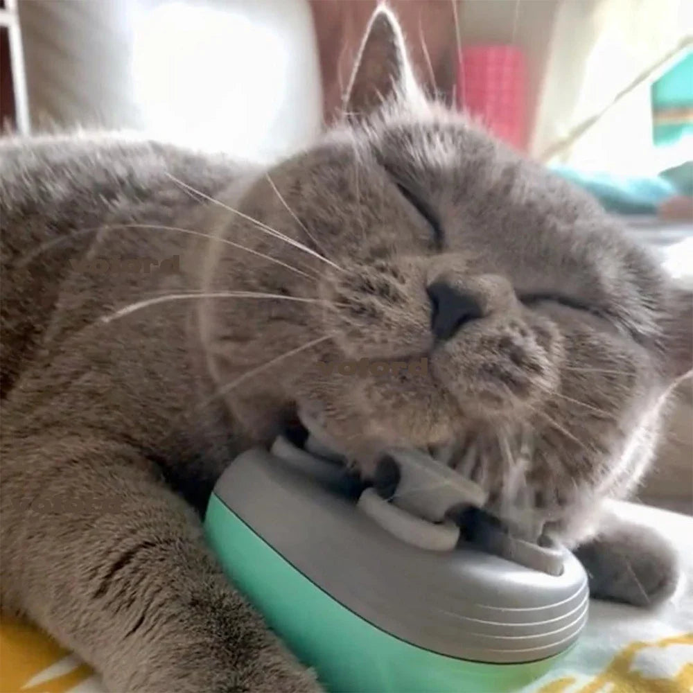 1 Electric Massager