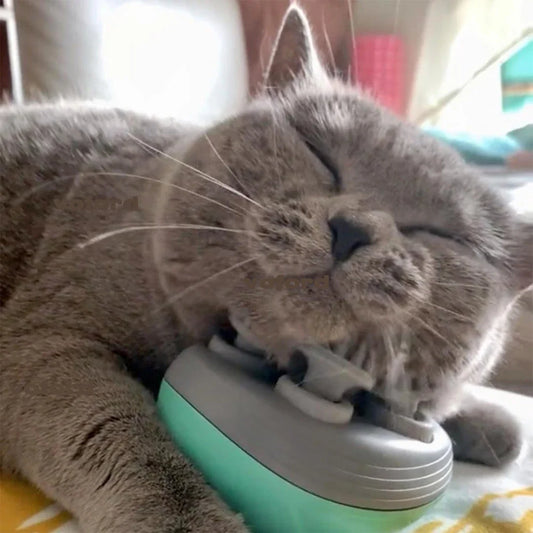 1 Electric Massager