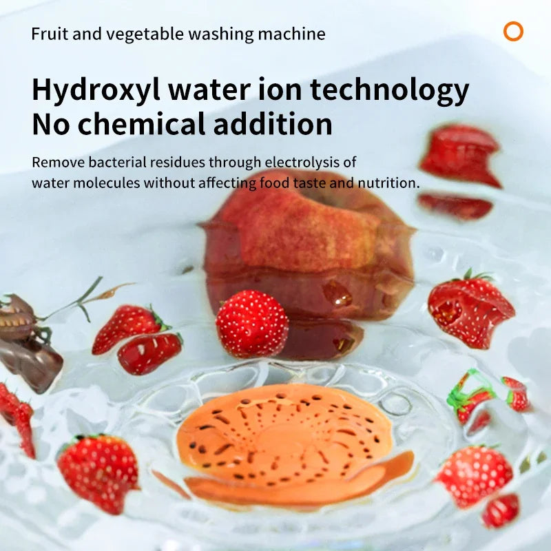 1  Portable Fruit & Vegetable Purifier