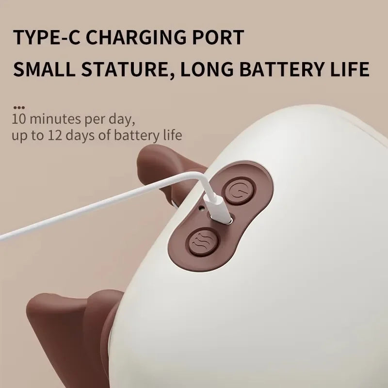 1  Electric Heated Massager