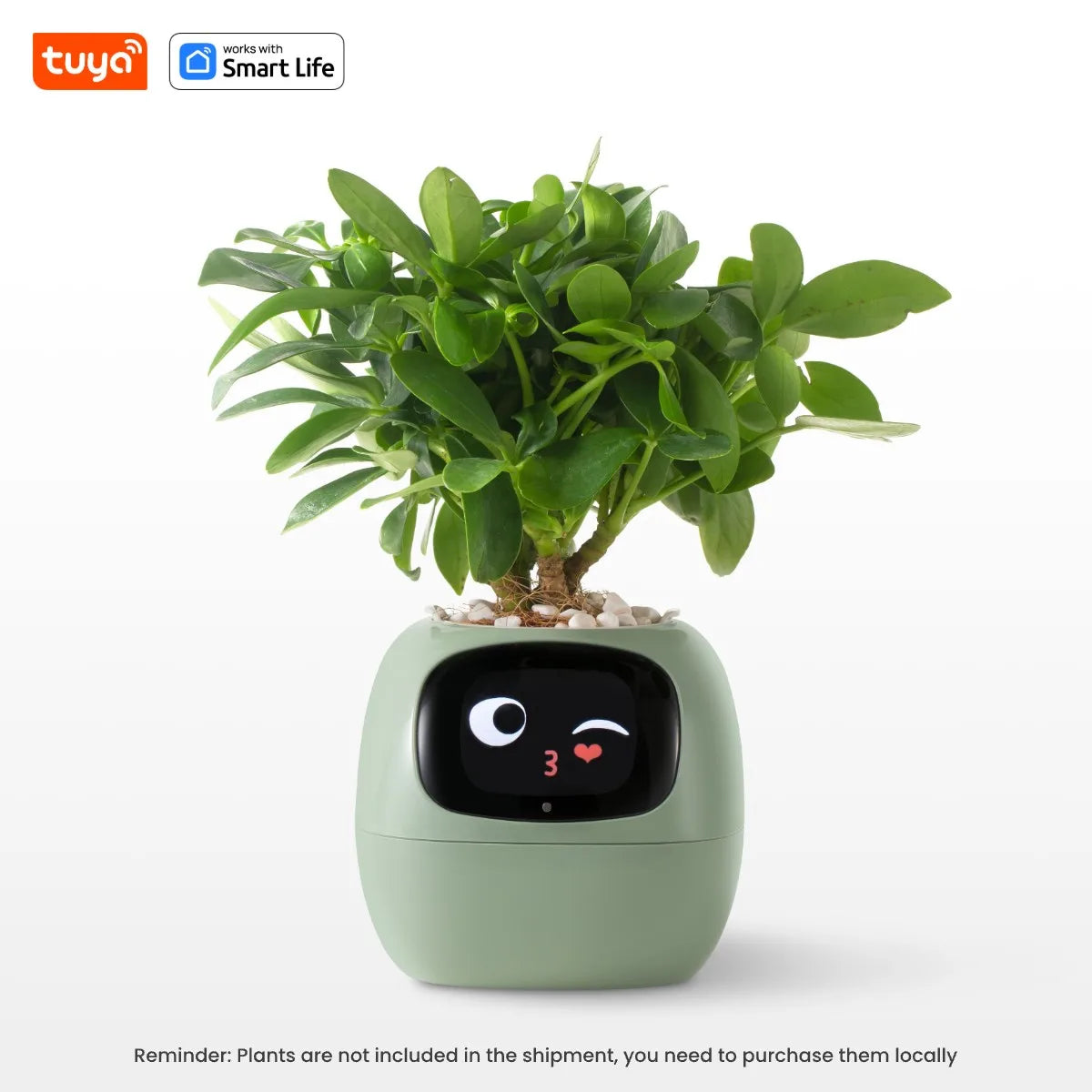 Smart AI Planter
